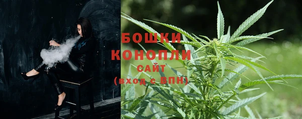 PSILOCYBIN Аркадак