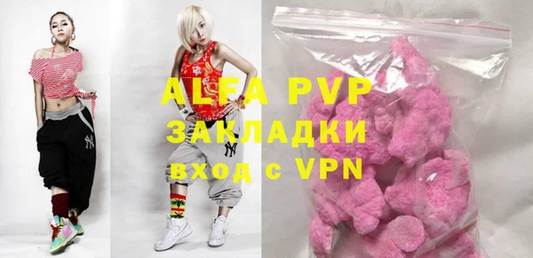 PSILOCYBIN Аркадак