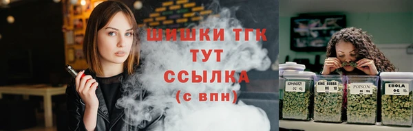 PSILOCYBIN Аркадак