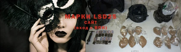 PSILOCYBIN Аркадак
