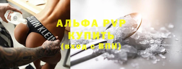 PSILOCYBIN Аркадак
