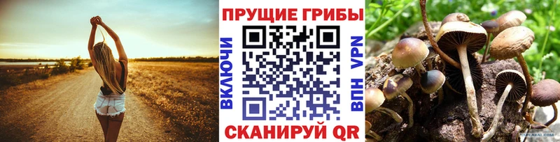 Псилоцибиновые грибы MAGIC MUSHROOMS  Демидов 