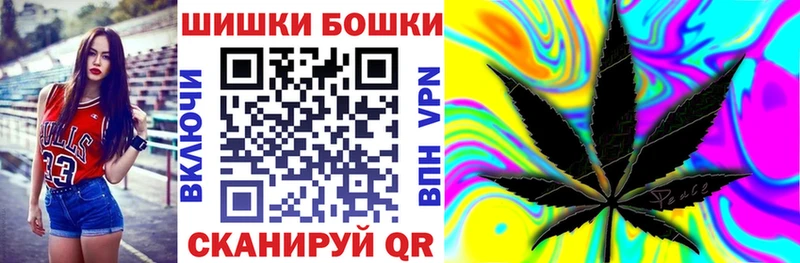 закладки  Демидов  Конопля индика 